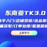 （14208期）东南亚TK3.0：新手入门/店铺装修/选品策略/流量获取/订单处理/联盟营销等
