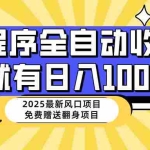 （14205期）25年最新风口，小程序自动推广，，稳定日入1000+，小白轻松上手