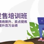 (14203期)销冠 发售培训班:发售 操盘+情商 飙升+卖点 提炼,实战提升百万业绩