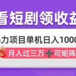 （14198期）看剧即赚无脑躺赚，单机日入1000+，月入3万+，可批量可矩阵，最猛收益…