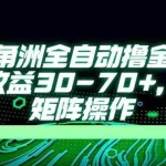 （14191期）最新三角洲全自动撸金项目，单窗口收益30-70+，可批量矩阵操作