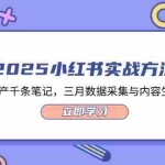 （14347期）2025小红书实战方法，快速日产千条笔记，三月数据采集与内容生态解读