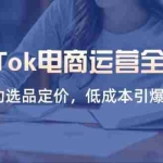 （14343期）TikTok电商运营全攻略，数据驱动选品定价，低成本引爆店铺流量