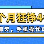 (14340期)一个月狂挣4w+,打字聊天,手机操作0门槛,新手小白都能做!
