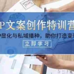(14330期)IP文案创作特训营,灵魂IP显化与私域播种,助你打造变现闭环(14节课)