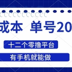 （14322期）2025年零成本单号200+，十二个零撸平台撸收益，有手机就能做