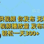 （14317期）平台提供视频 你发布 无粉丝要求 不看视频播放量 发布就有钱 轻松一天300+