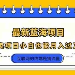 (14289期)2025年最新蓝海项目,卖项目小白也能月入过万