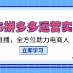 （14259期）2025拼多多运营实战课，从开店到直播，全方位助力电商人（40节课）