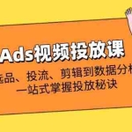 （14258期）Ads视频投放课全解析：选品、投流、剪辑到数据分析，一站式掌握投放秘诀