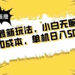 （14400期）最新玩法 广告暴力强撸 傻瓜式操作 无需养鸡 矩阵式操作 可无限放大 单…