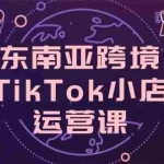 （14390期）东南亚跨境TikTok小店运营课，掌握店铺设置与流量转化核心技巧