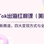 (14382期)TikTok出海红利课(美区)跨境电商新赛道,四大变现方式与全流程解析