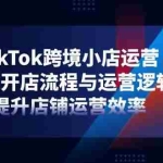 （14369期）TikTok跨境小店运营，精通开店流程与运营逻辑，提升店铺运营效率
