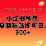 （14350期）小红书种草无脑操作复制粘贴即可日入300+