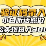 (14408期)信息录入项目,10秒一单,新手小白听话照做快速上手,实现日入300+