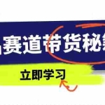 （14406期）水晶赛道带货秘籍，国学结合、短视频起号、拍摄技巧、直播话术等内容