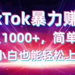 （14402期）TikTok搬运暴力赚佣，日入1000+，简单搬运，小白也能轻松上手