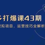 (14546期)拼多多打爆课第 43 期,掌握高价虚拟项目,运营技巧全解析(15节)