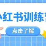 (14545期)小红书训练营,助小白入门,掌握技巧变达人,课程实操又全面(12节课)