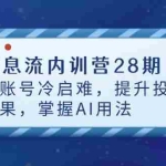 (14535期)信息流内训营28期,解账号冷启难,提升投放效果,掌握AI用法
