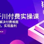 (14533期)2025千川付费实操课,理论+实战,解决付费难题,精准把握流量,实现盈利