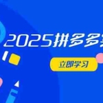 (14531期)2025拼多多实训营:深度剖析运营关键,助力电商人快速提升