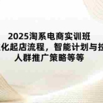 （14522期）2025淘系电商实训班：标准化起店流程，智能计划与拉新，人群推广策略等等