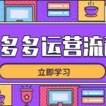 (14503期)拼多多运营流程,从选品到流量,全链路运营技巧,助力店铺爆单