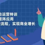 (14487期)实体老板自运营特训,AI短视频矩阵应用,0-1起号全流程,实现商业增长
