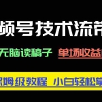 （14476期）视频号技术流带货，只需无脑读稿子，单场收益1000+ 保姆级教程，小白轻…