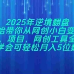 （14473期）2025年逆境翻盘，从0开始带你从网创小白变成大佬，引流，项目，网创工…