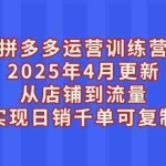 （14469期）拼多多运营训练营2025年4月更新，从店铺到流量，实现日销千单可复制