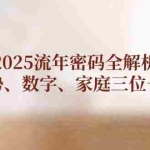 (14466期)2025流年密码全解析,运势、数字、家庭三位一体