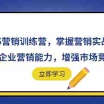 （14456期）2025营销训练营，掌握营销实战技巧，提升企业营销能力，增强市场竞争力