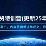 (14455期)AI外贸特训营(更新25年4月),快速建站开发客户,内容营销促订单成交,…