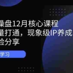 （14447期）短视频操盘12月核心课程：自然流量打通，现象级IP养成，实战经验分享