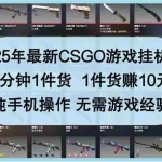 （14439期）25年最新CSGO游戏挂机，1分钟1件货，1件货赚10元 纯手机操作 无需游戏经验