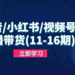 (14611期)抖音/小红书/视频号/直播带货(11-16期),快速掌握平台规则,打造爆款内容