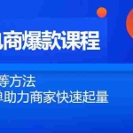 (14644期)2025电商爆款课程,内销外销等方法,从0到爆单助力商家快速起量