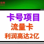 (14642期)19元180G,卡号项目,流量卡推广项目揭秘拆解,日入500+