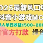 (14625期)2025最新风口项目 抖音小游戏MCN 单人单日收益1500-2000+