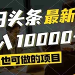 (14675期)今日头条最新风口,视频掘金,小白也可月入过万,可以矩阵操作