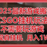 (14743期)2025最新游戏搬砖,CSGO挂机,不需要玩游戏,实现真挂机,月入1W+