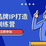 (14737期)个人品牌IP打造训练营,打造人设吸粉话术,日增精准粉,玩转社群变现技巧