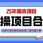 (14767期)2025年实操六大项目实操演练,挂机类型,AI直播类型,轻资产创业类型,…