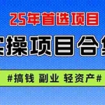 (14767期)2025实操项目合集 挂机类型 直播类型 轻资产创业类型 课程分享各项目介…