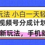 (14815期)视频号分成计划,全网最暴力玩法,新手一天也能轻松500+