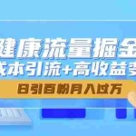 (14811期)大健康流量掘金课,低成本引流+高收益变现,日引百粉月入过万