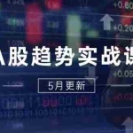 (14808期)A股趋势实战课:主力动向+政策红利,2025全年策略5月更新